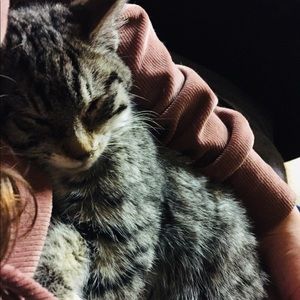 Meet your Posher, Ashlyn